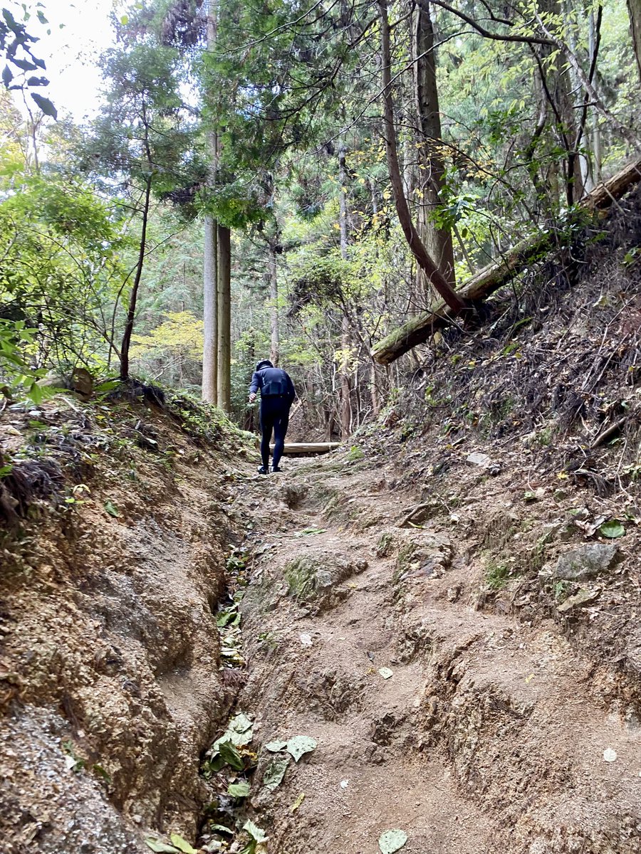 non_3246🚴‍♀️ tweet media