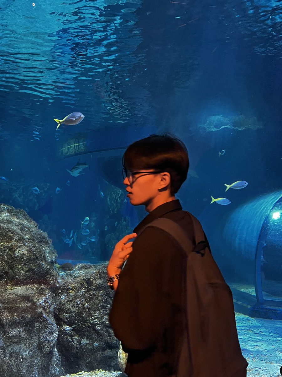 wave_prxrm's tweet photo. 💙🦈 https://t.co/PUolOFzhI8