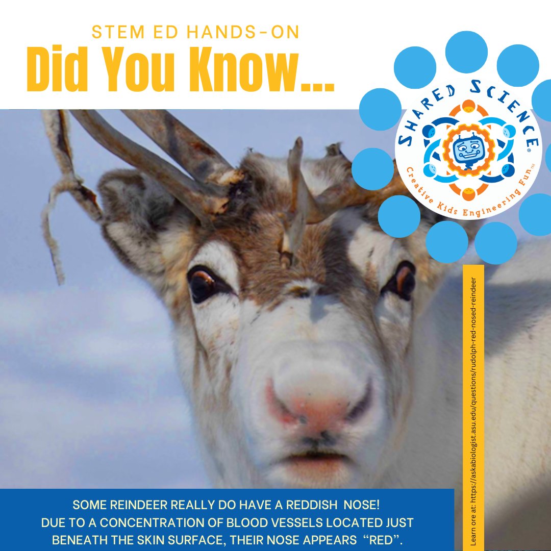 shared_science's tweet image. Check out this fun #STEM fact from Shared Science!
#SharedScience #STEM #LongBeach