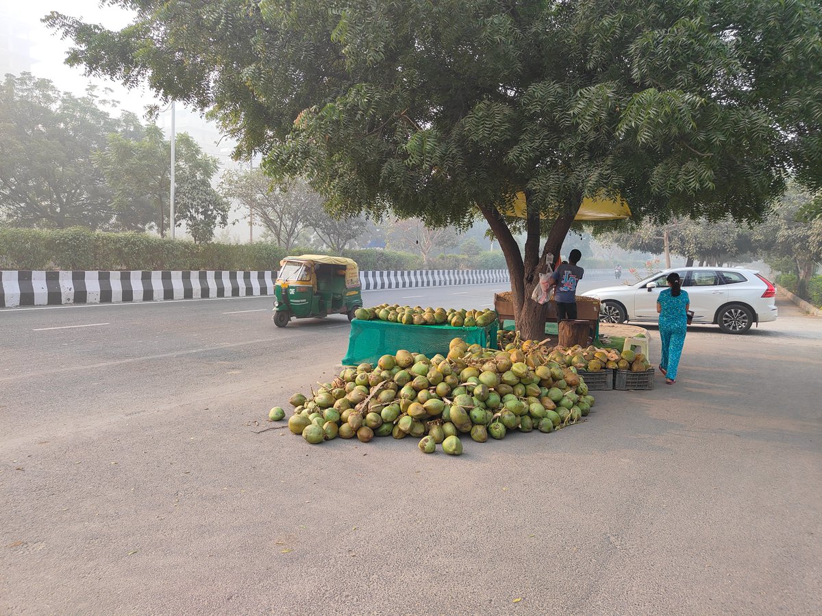 hiteshfirst's tweet photo. Authority turns blind eye for reasons best known to them.. street vendor menance near bio diversity park https://t.co/iflVt9eEmX