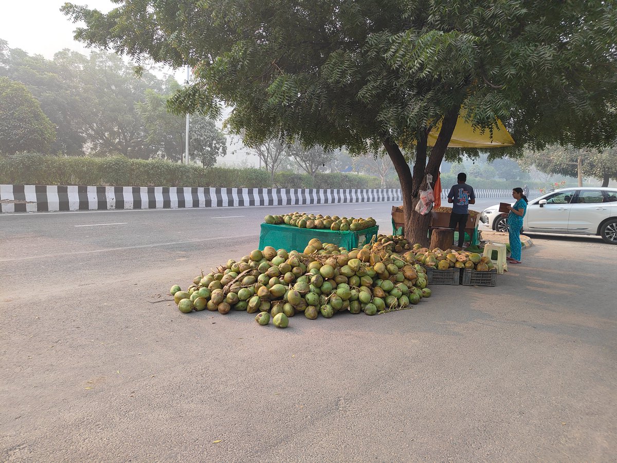 hiteshfirst's tweet photo. Authority turns blind eye for reasons best known to them.. street vendor menance near bio diversity park https://t.co/iflVt9eEmX