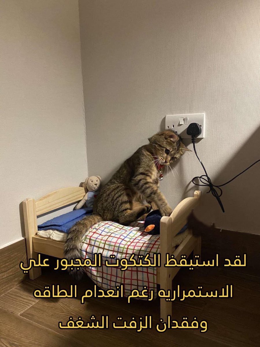 ‏أي حاجة | كود نايس ون AH88 (@toonzatt) on Twitter photo 