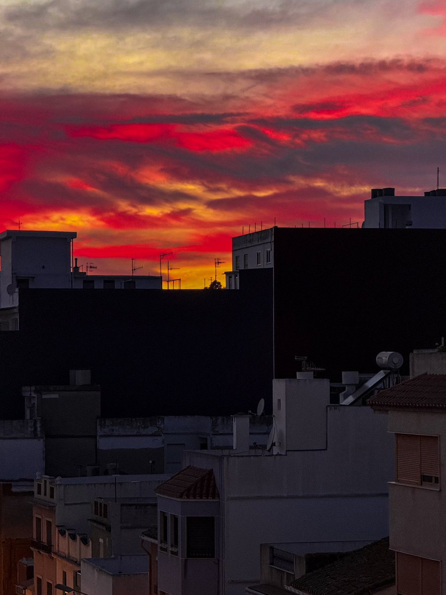 ph__sa tweet picture