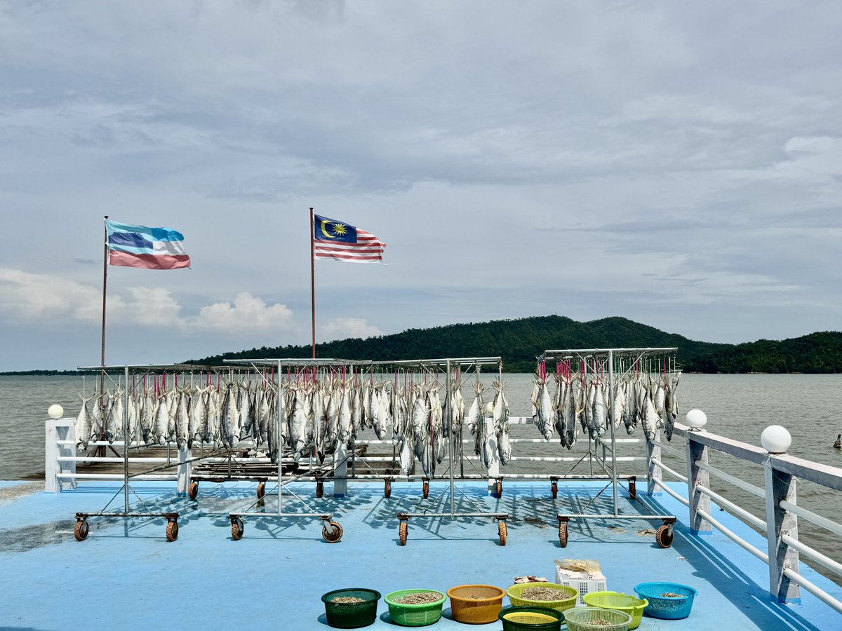 Making salted fish… the perfect touch for Malaysian Chinese dishes. What do you think?