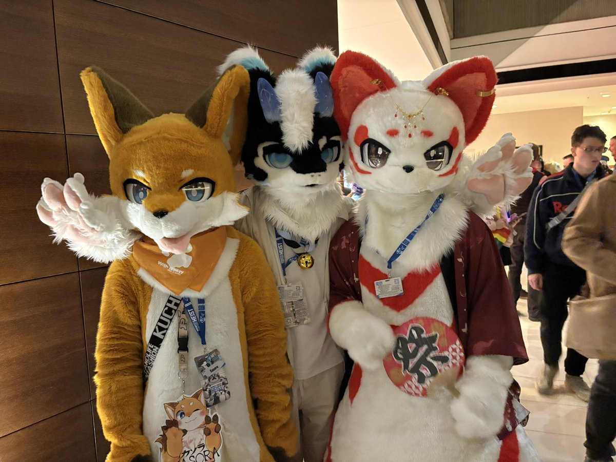 YuShouNe's tweet photo. Day 1 of MFF. Lovely to meet every kind people around here!!
#MFF24 #fursuit
Very happy to hanging around with @Kachi_233 @RagdollMiaow https://t.co/TCEJMoBmgn
