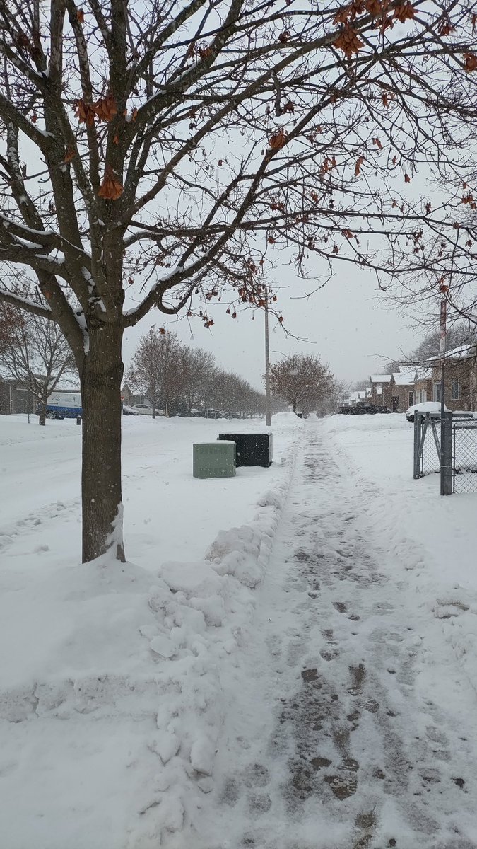 pc_ender's tweet photo. Snow ❄️❄️❄️ https://t.co/ML3uZfQp6D
