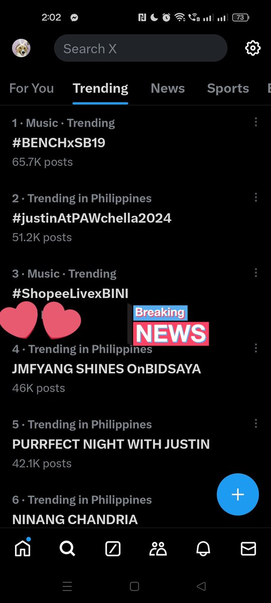 JMFYANG SHINES OnBIDSAYA