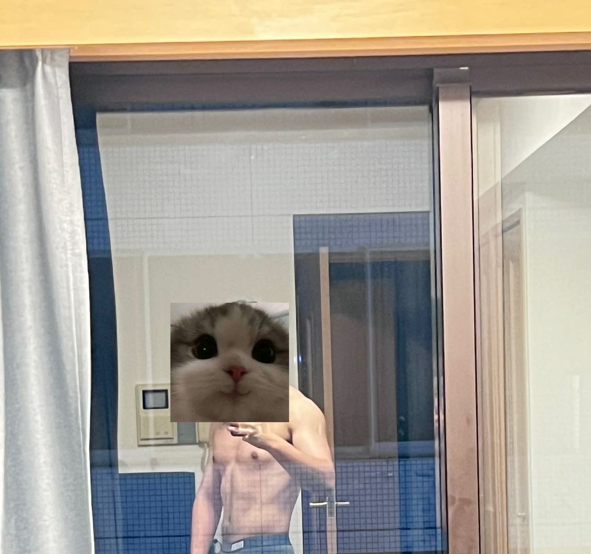 刷脂