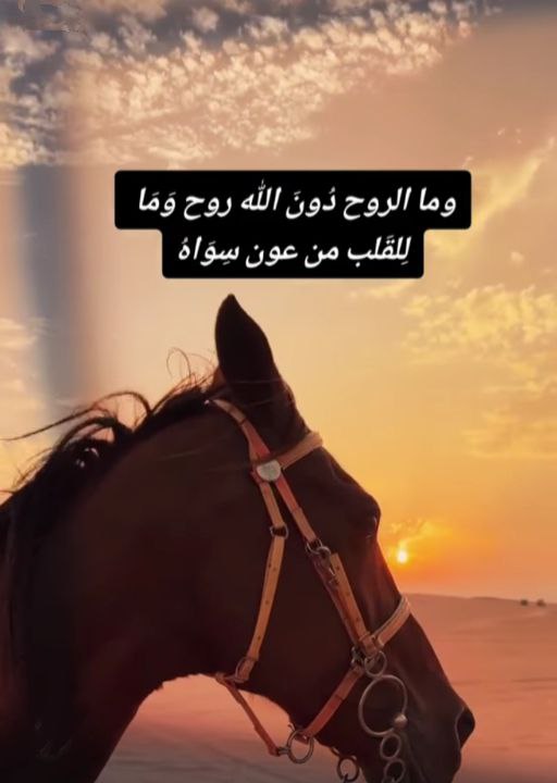 أُحب ماأنا عليه الآن يا #ﷲ
أُحب كل الأقداروالتجارب
التي أخذت بيدي
إلى هذه النقطة
حتى تلك
التي ظننتها مؤلمةوحزينة
أُحب ماأعطيتني
ومامنعت عني
أُحب عوضك الذي يأتي فجأة
ودون مقدمات
أُحب كيف أصبحت
بعدكُل مامررت به
روحًا راضية
وقلبًامُطمئنا
ونفسًا هادئةً