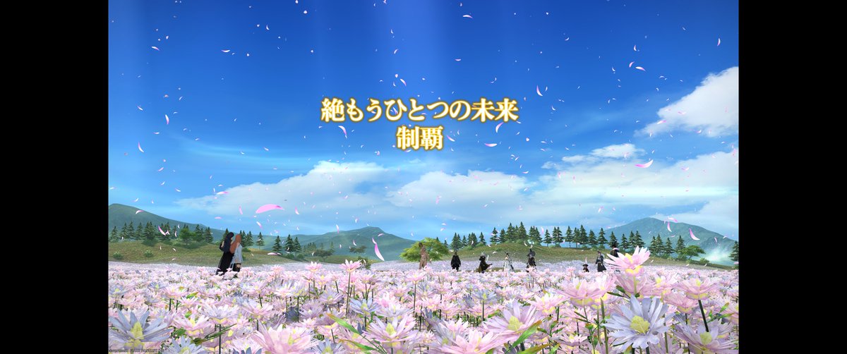 えいる☪︎*｡꙳ tweet media