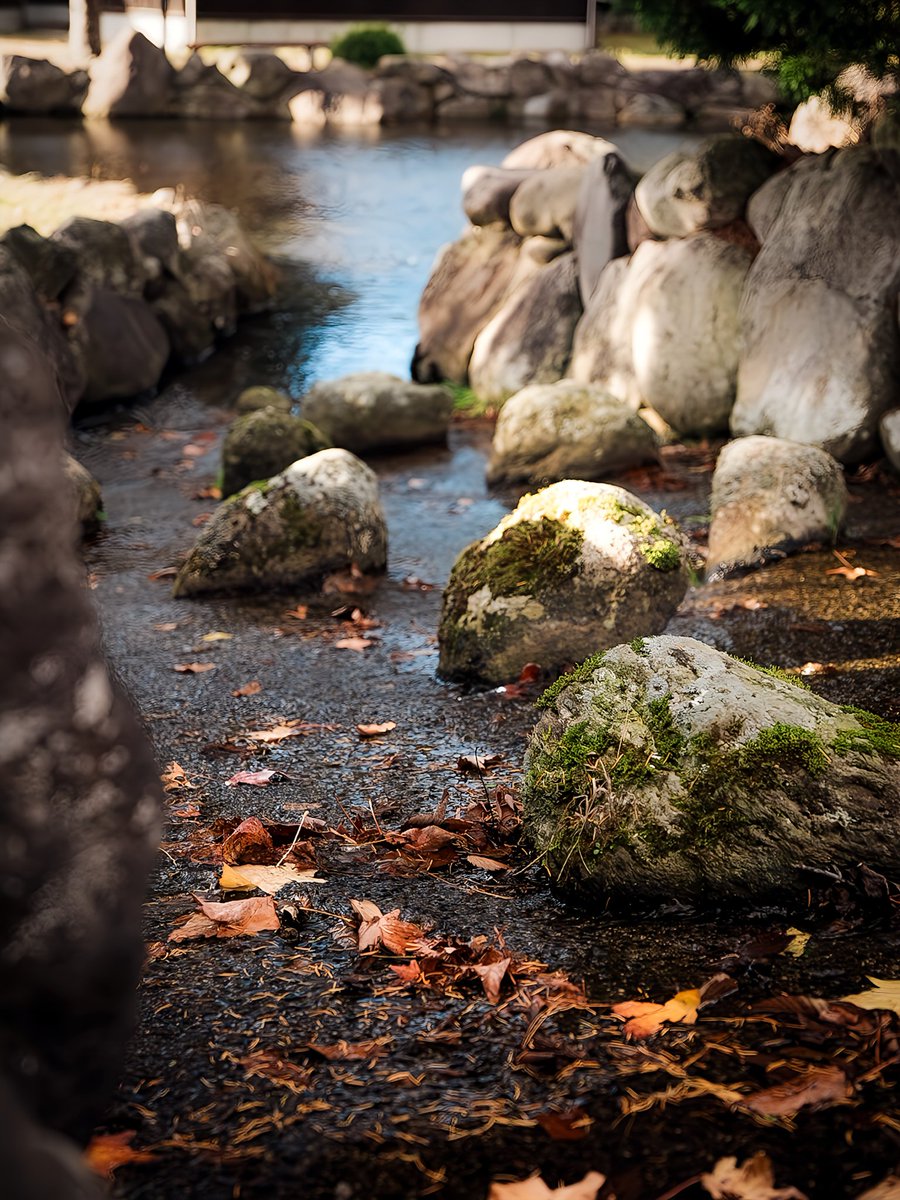 お写ん歩お写ん歩お写ん歩✧p📷qω•,,