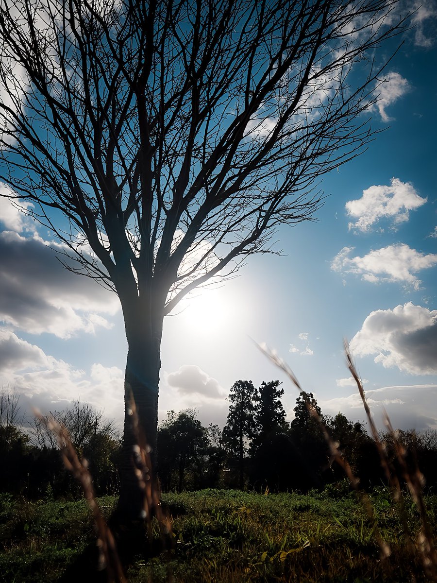 お写ん歩お写ん歩