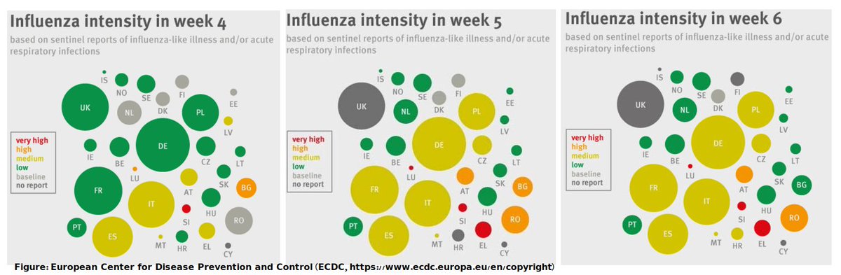 JRSS_A's tweet image. 🏥Intensity thresholds are used by public health agencies like ECDC to classify influenza activity and season peaks as low, medium, high or extreme

👉doi.org/10.1093/jrsssa…

🧵