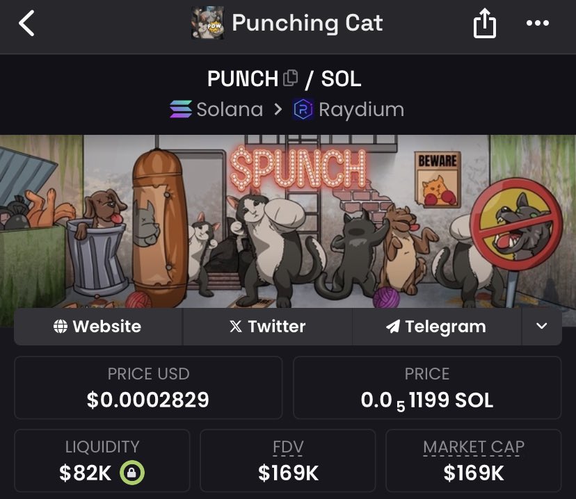 lord_vec's tweet photo. Day 64: $PUNCH doc till $100m MC
They jeet, we stack. They doubt, we laugh. They sell, we $BET more.
Punching Cat isn’t just a meme; it’s a movement. Diamond hands win the game always have, always will. 💎✋
Let’s keep $PUNCH ing through.
#PunchingCat #HODL @Punchcat_sol https://t.co/9VYzcjL4K7