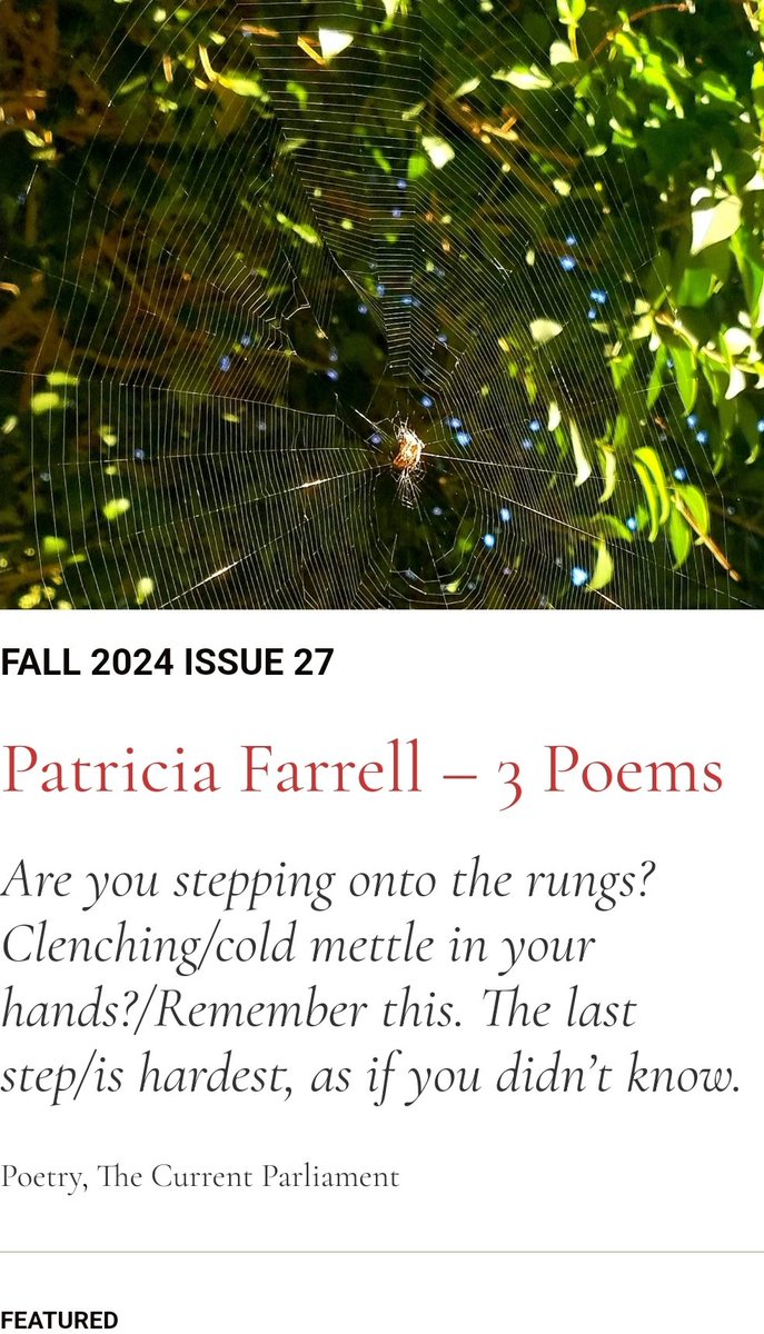 Poet Patricia Farrell has written 3 poems in our Fall 2024 Issue.  Check her work &amp; our entire #parliamentofmagpies via the links in our bio. #donationswelcome.  Text Magpie2024 to 44321. #thievingmagpie #literarymischief #poetry #fiction #art #photography #essays #givingseason