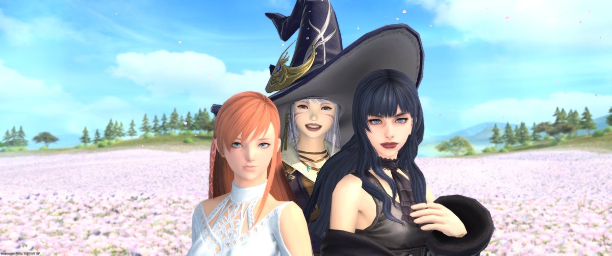 えいる☪︎*｡꙳ tweet media