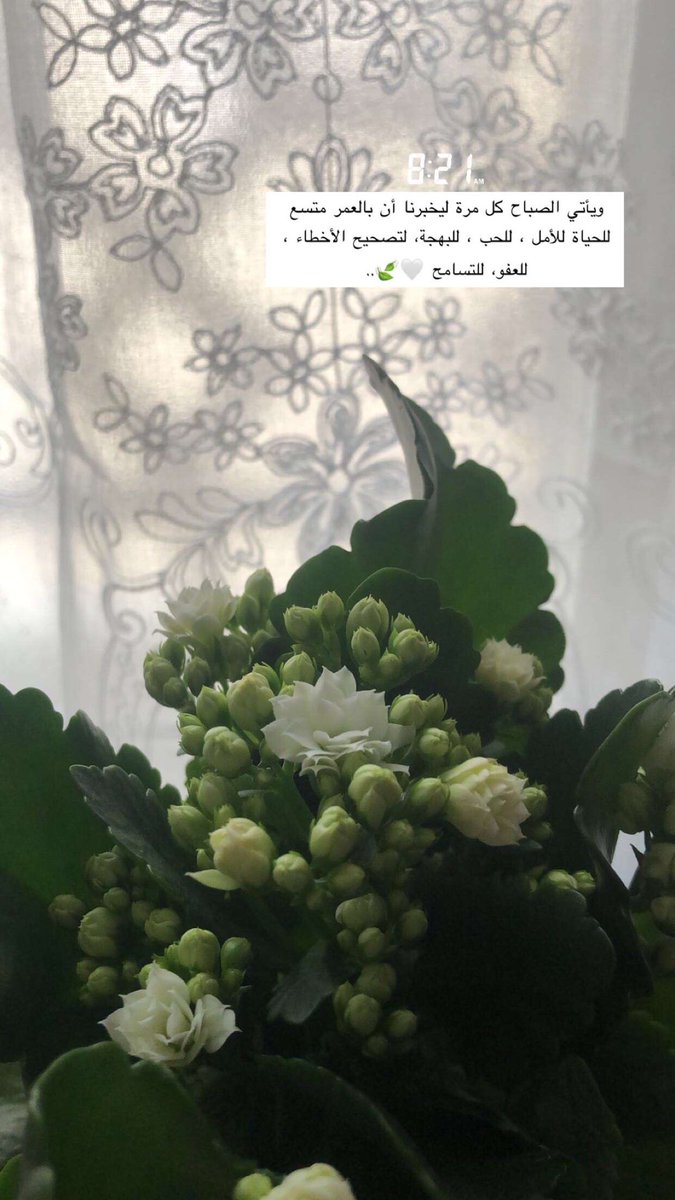 sky141749's tweet photo. #صباح_الخير 🤍 https://t.co/d6xWrzkBAR