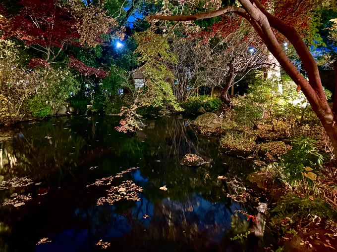 温泉はもちろん気持ち良くてプールもあって凄かったんだけど、2階から裏に回って行ける庭園がすごい雰囲気良くて綺麗だったー!#庭の湯ホロライブコラボ#にわのゆほへっと 