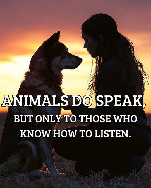 _XDogs's tweet photo. https://t.co/jXGQkRAAwh