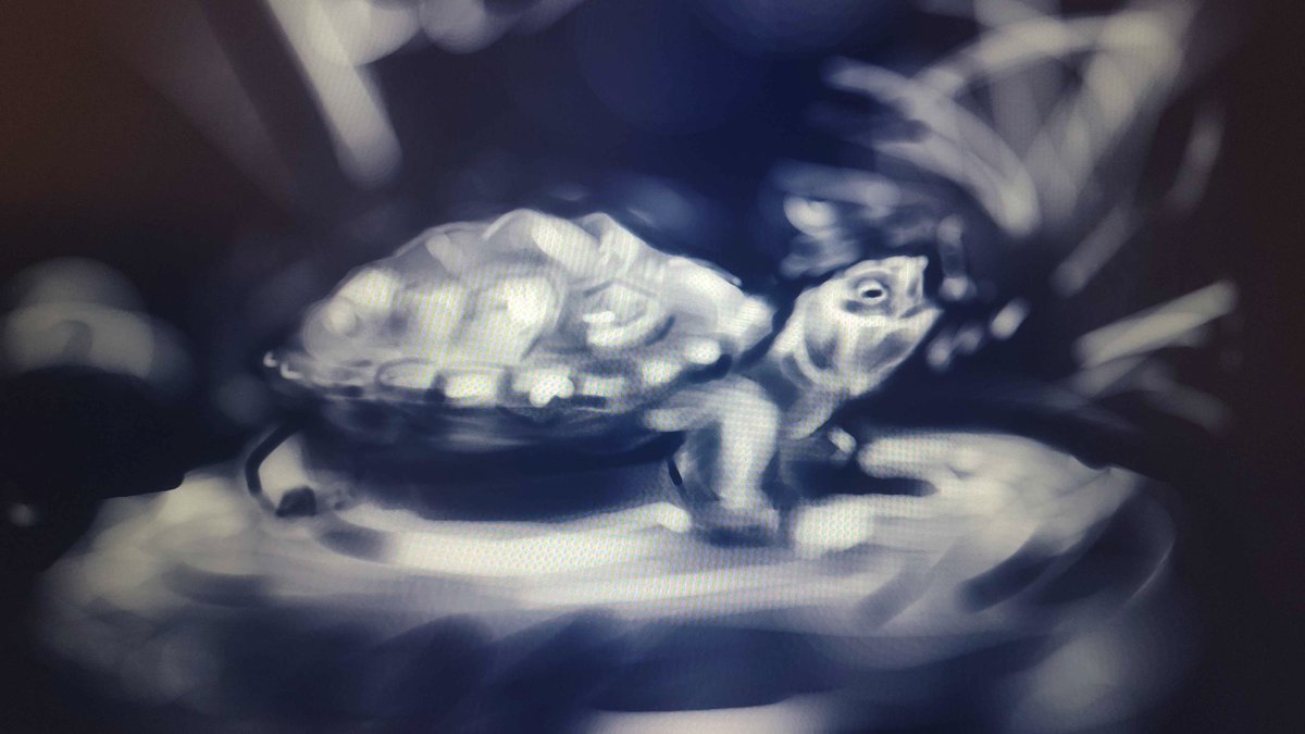 @unibrawn.bsky.social tweet media