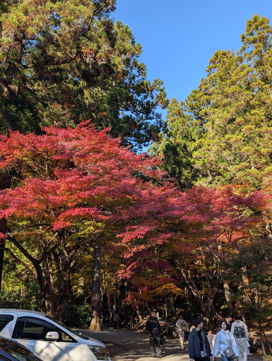oka2603's tweet photo. 遠州小國神社の紅葉！ https://t.co/CZqz14z7tp