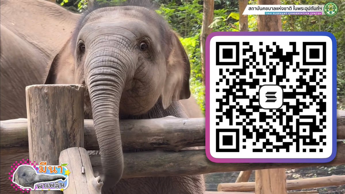 This is the Phantom Wallet of our organization for those who wish to donate $MEENA tokens

D3DXcxnrsC4U4mMokcXDrXAojBWugi8VRuMvWXNaFMNt