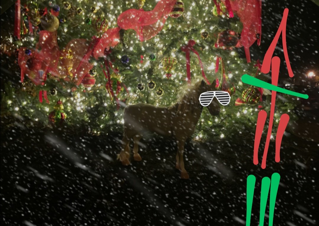 StephanoHorse's tweet image. 📡✨💫💫💫🪄🪃🙏🏻🪃RE: youtu.be/H5v3kku4y6Q?si…💘♟️💘//∆\\🌀♾️🌀#trinitas🛰️✨💫💫💫🪽🐎🪽