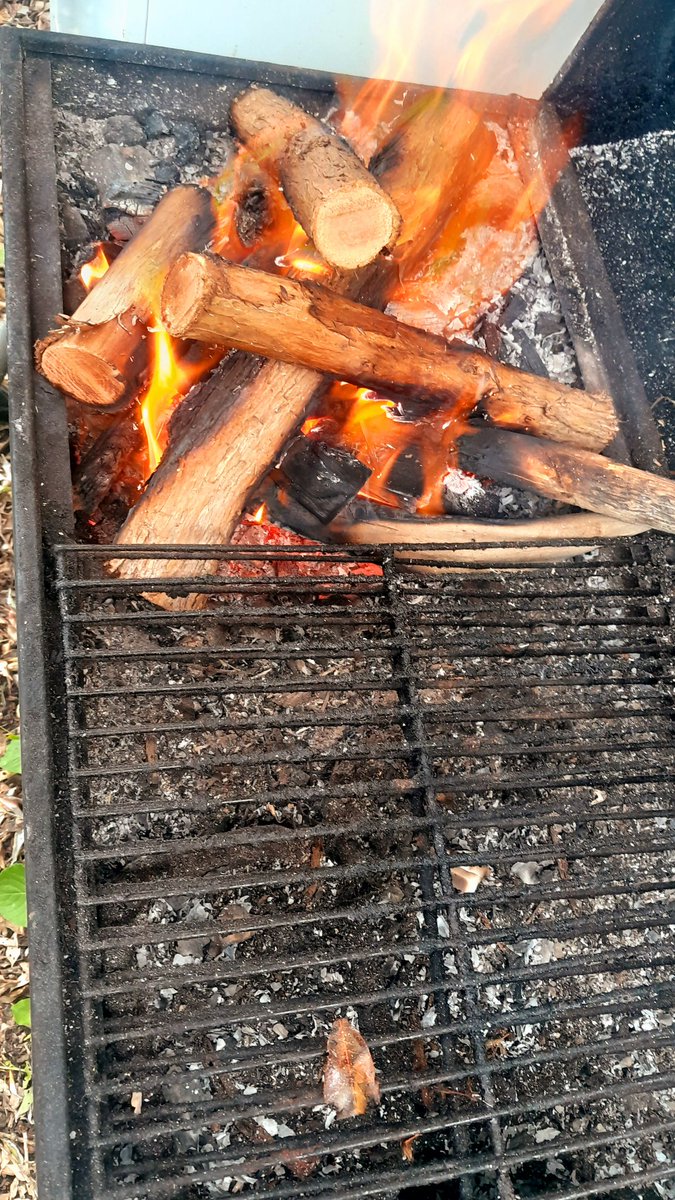 Kieran Haslett-Moore tweet media