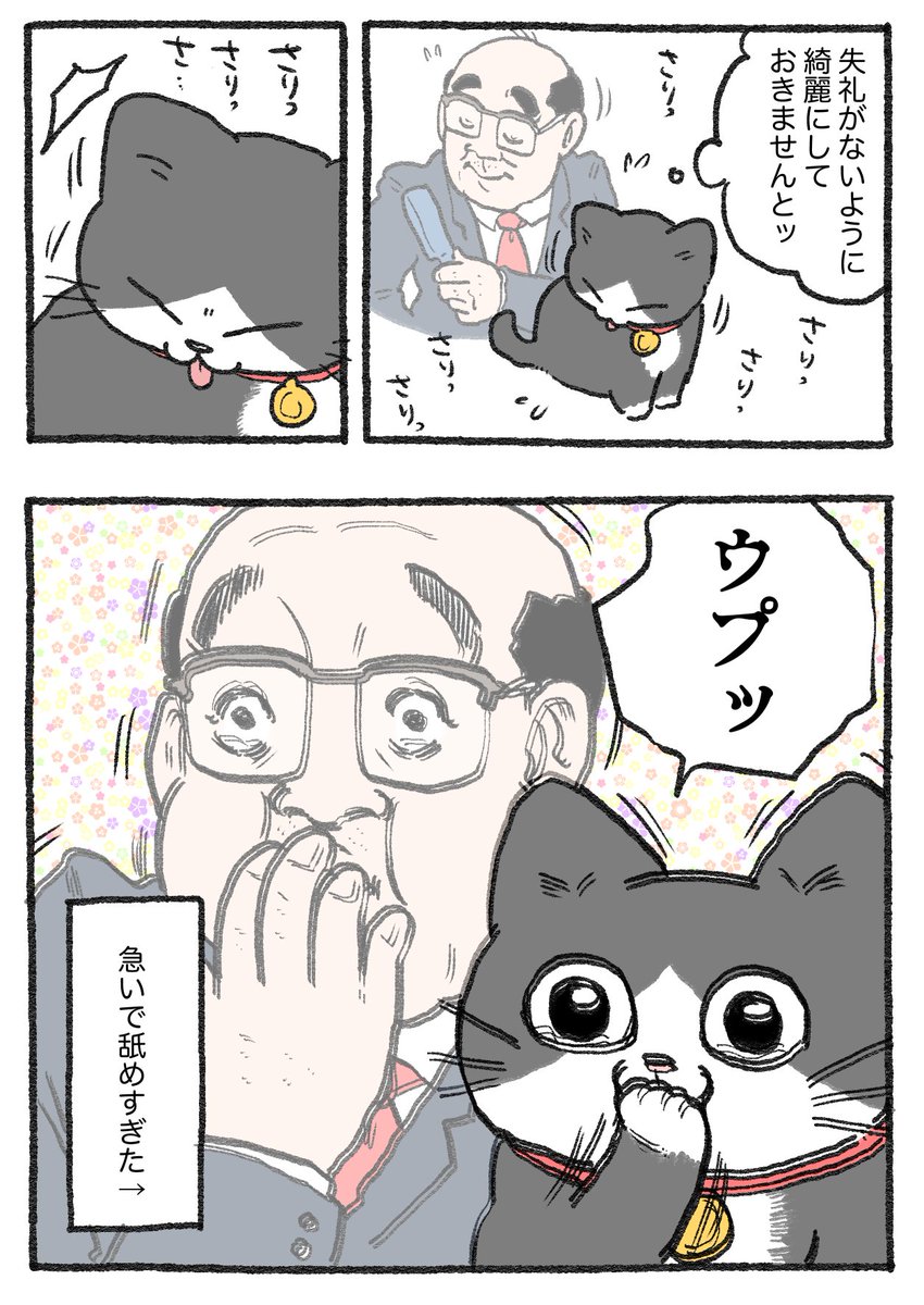 ねこに転生したおじさん。その608