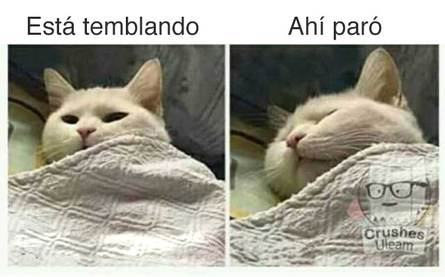 Gloriaparedes's tweet photo. Temblor en #Valdiviacl https://t.co/VRhe4APyCu