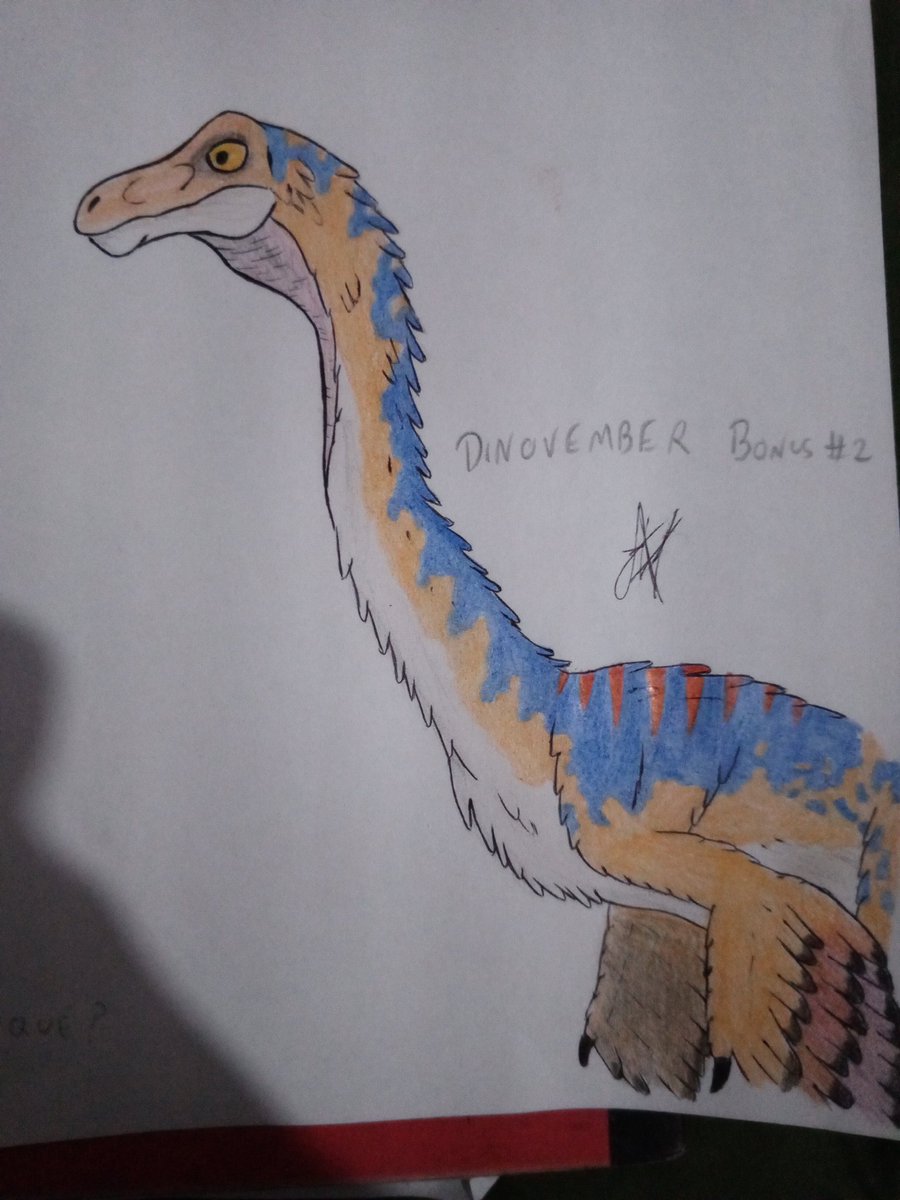 afton777's tweet image. #Dinovember bonus 2: Gallimimus bullatus

Este es de mis favoritos hasta el momento, espero les guste tanto como a mi (sufri demasiado con esas alas)