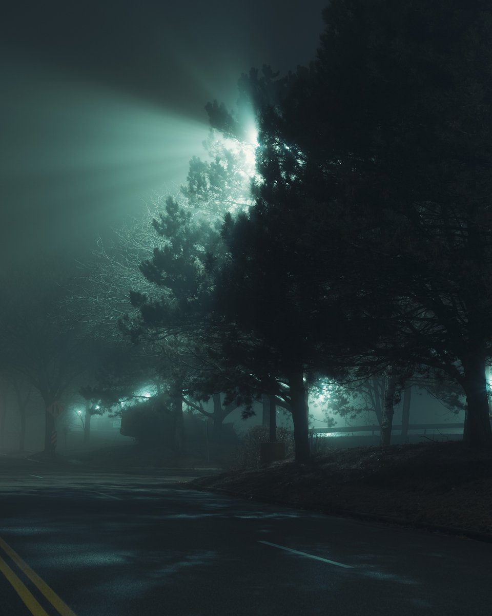 _thecolorfulkid's tweet photo. A foggy wonderland https://t.co/CpNRgIakdO