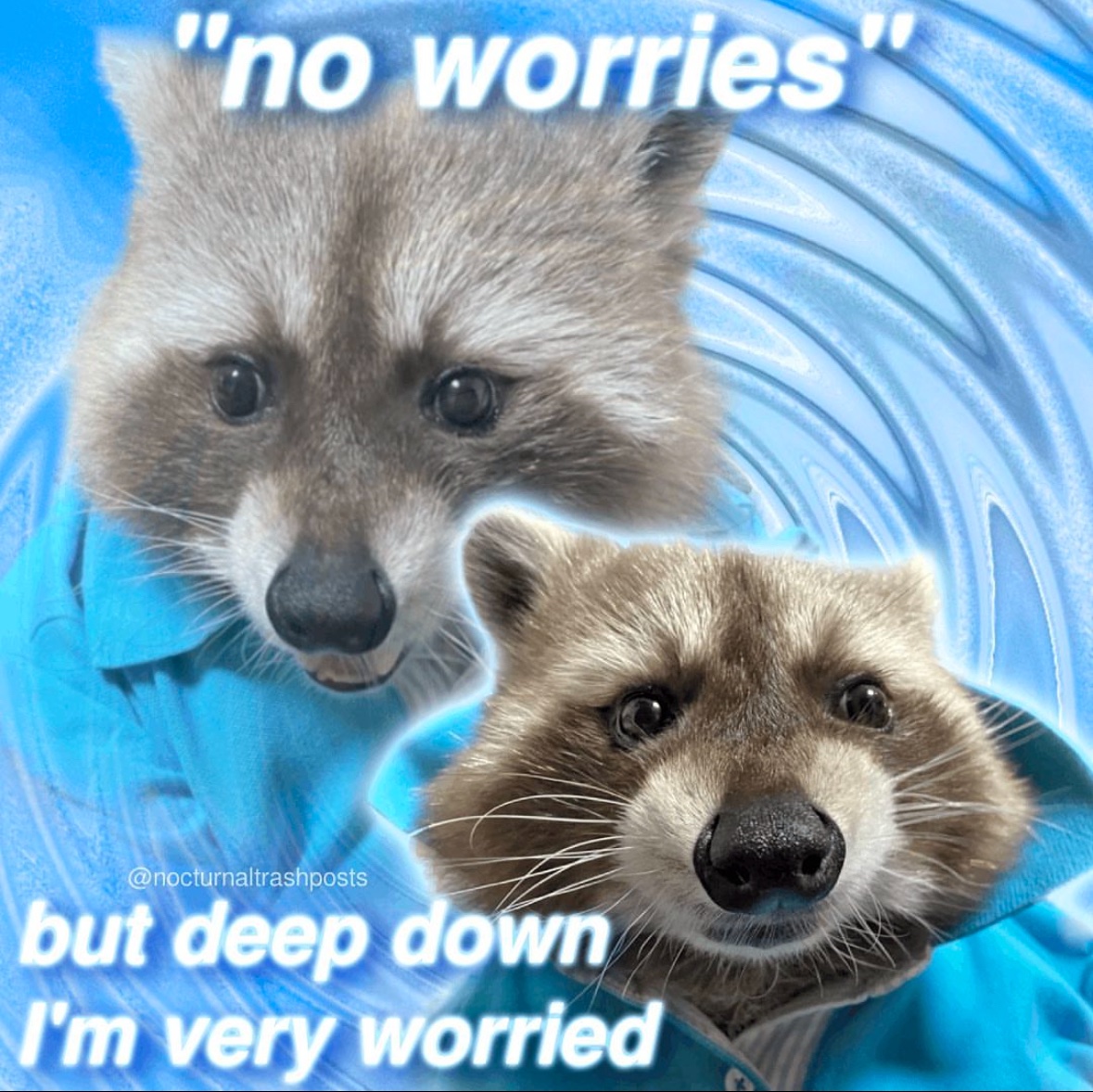 raccoon aesthetic. (@raccoonesthetic) on Twitter photo 