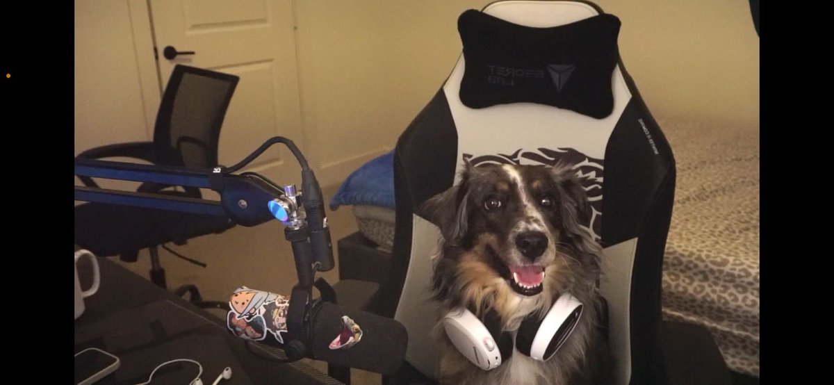 milo el lomito streamer