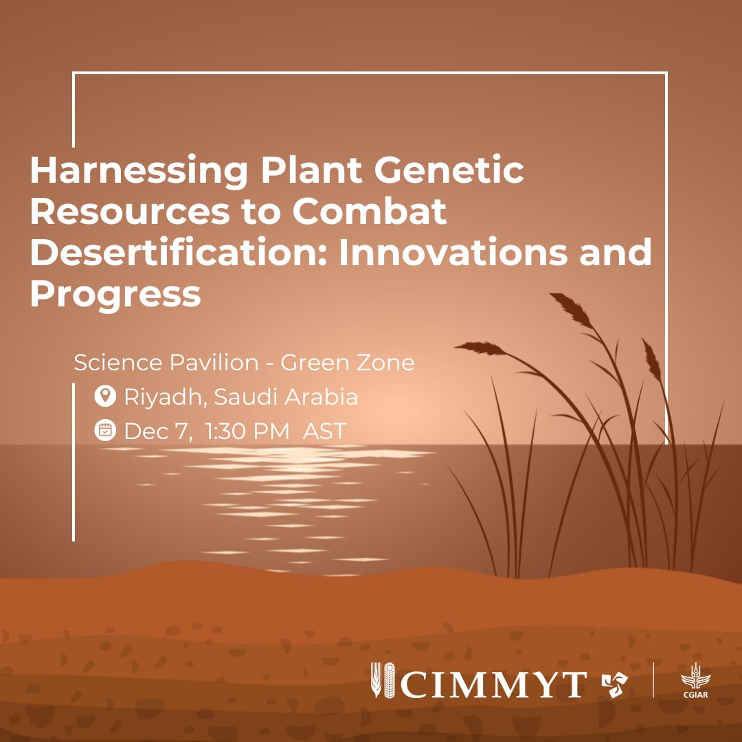 CIMMYT (@cimmyt) on Twitter photo Can plant genetic resources unlock solutions to desertification and boost crop productivity in drylands?
Join <a href="/SamGameda/">Sam Gameda</a> as he explores how #CIMMYT’s R&D is transforming livelihoods with sustainable agriculture.
🕐1:30-3:00 pm
📍 Science Pavilion-Green Zone
#COP16Riyadh Can plant genetic resources unlock solutions to desertification and boost crop productivity in drylands?
Join <a href="/SamGameda/">Sam Gameda</a> as he explores how #CIMMYT’s R&D is transforming livelihoods with sustainable agriculture.
🕐1:30-3:00 pm
📍 Science Pavilion-Green Zone
#COP16Riyadh