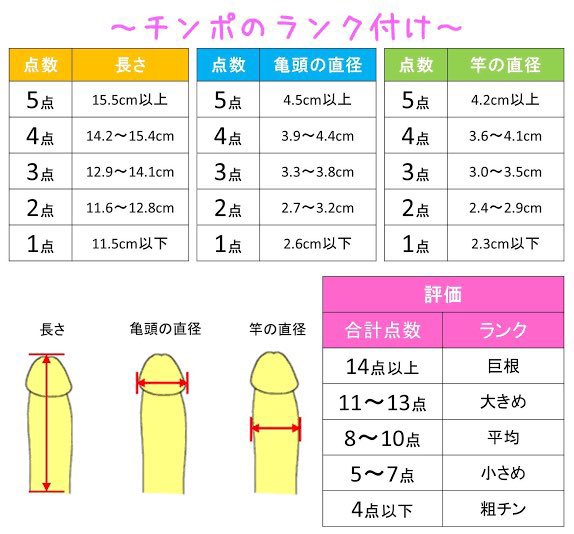 yuki6505's tweet photo. 自分のランク知ってる？

はい、全男子解答必須。

リプで教えてね。 https://t.co/aYuHsiTqll