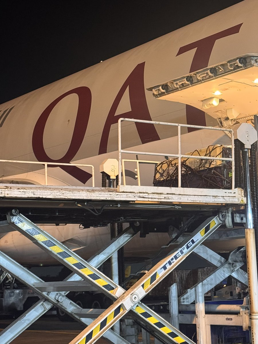 SMALLFIVEVET's tweet image. Always on the move! ✈️ After meeting all US CDC requirements, our VIP furry passengers are ready for their flight to the USA. 🐾 Trusted experts in international pet relocation! #PetRelocationKenya #InternationalPetShipping #smallfivevetclinic