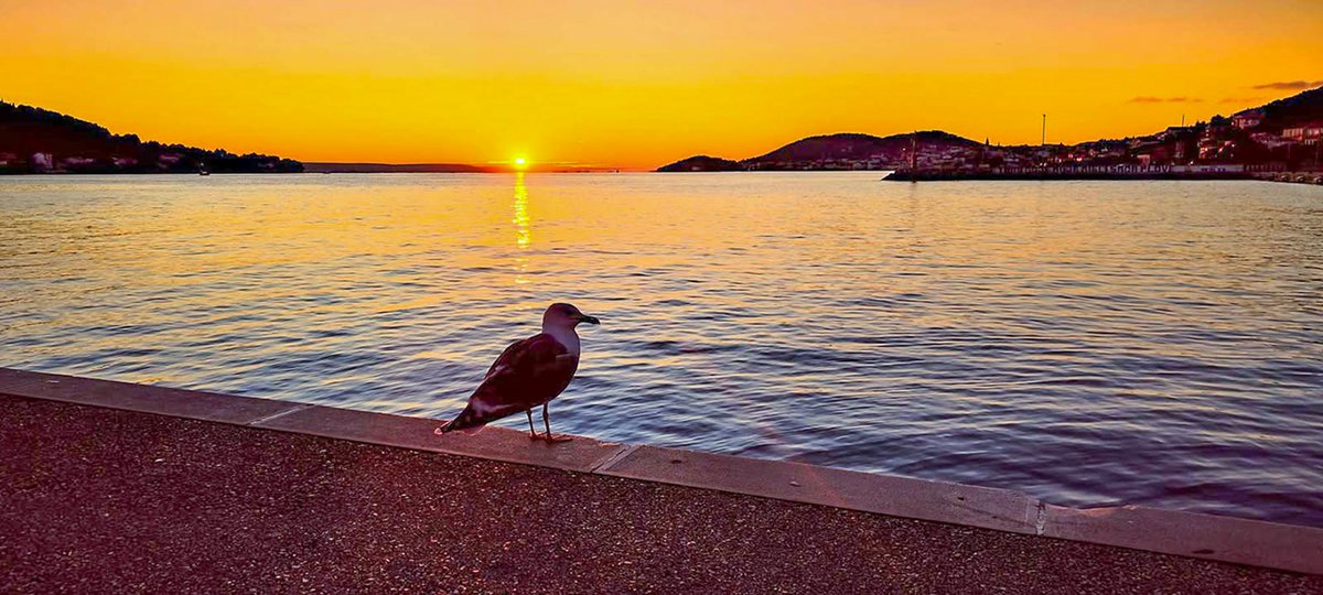 s_marcac's tweet image. Preko, otok Ugljan jutros.., svitanje uz bonacu ☀️
#Ugljan #Preko 🇭🇷
📸 Marin Vlastelica