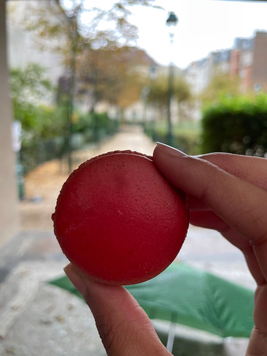 jeevanasai91's tweet photo. Exploring the world through desserts! 🌍
 
Paris: Macarons from Pierre Hermé and Angelina’s iconic hot chocolate—unforgettable treats! 🇫🇷
 
Italy: Relished tiramisu in Milan, Hot chocolate in Bari 🇮🇹

Copenhagen: Indulged in Danish pastries and icecream that are simply divine. https://t.co/sP4oY1i1DN