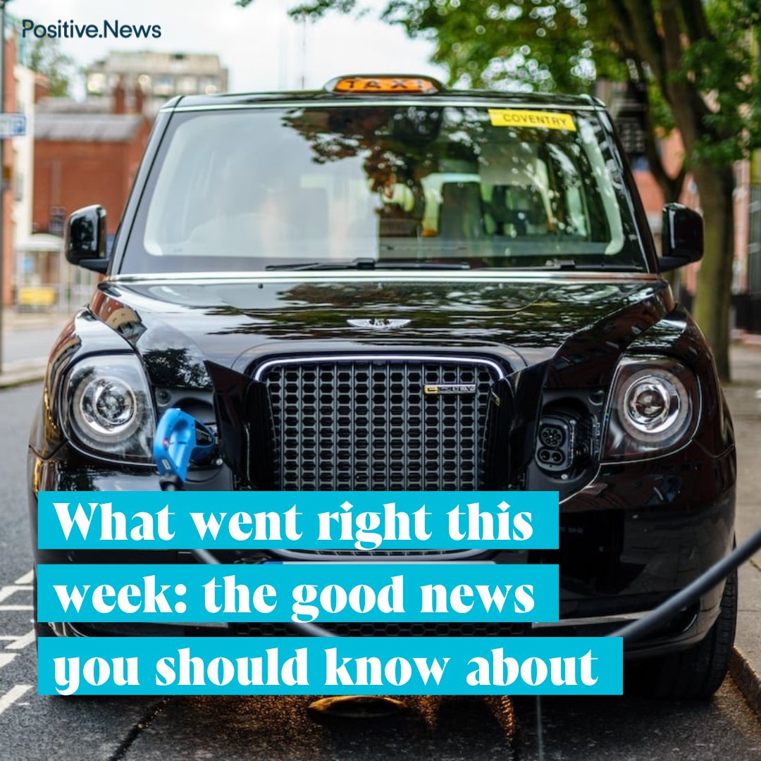 Positive News tweet media