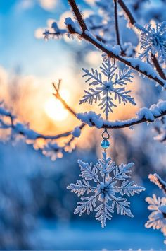 Really Mysterious (@reallymysterio1) on Twitter photo Tis the season to be frostyโ๏ธโ๏ธ๐
๐โค๏ธ๐<a href="/FosterTruenorth/">Dennis Foster</a> <a href="/Old_Santa_Claus/">Santa Claus ๐
๐ป๐๐ฆ๐ท</a> <a href="/DontNotKnow/">๐ฅFireStarter๐ฅI Fear No MAGAt๐ฅท๐ผ</a> <a href="/debbie2291/">๐๏ธpcgirl ๐๐๐๐พ๐จ๐ฆ๐ป๐บ๐๐ณ๏ธโ๐๐ณ๏ธโโง๏ธ</a> <a href="/Megf777/">Meg โฅ๏ธ</a> <a href="/NickAyer3/">Nick Ayer</a> @silverkat19699 <a href="/Armybrat41/">Proud member of the intolerant left</a> <a href="/PereJes1/">Pere Jes</a> @shiksa_princess <a href="/_hkdevine/">โช๏ธHโช๏ธ</a> <a href="/resistersis_nj/">resistersister๐ป๐ฉธ๐ดStandWithUkraine</a> <a href="/Rick_resister33/">Rick_resister336</a> <a href="/LBee1979/">Laurie ๐ ๐บ๐ฆ</a> <a href="/1crusader12/">Philip Kemp</a> <a href="/KattSchmitt/">Kathy Schmitt ๐บ๐ฆ</a> <a href="/ddbecker5454/">East Bradenham</a> @libfutonrev Tis the season to be frostyโ๏ธโ๏ธ๐
๐โค๏ธ๐<a href="/FosterTruenorth/">Dennis Foster</a> <a href="/Old_Santa_Claus/">Santa Claus ๐
๐ป๐๐ฆ๐ท</a> <a href="/DontNotKnow/">๐ฅFireStarter๐ฅI Fear No MAGAt๐ฅท๐ผ</a> <a href="/debbie2291/">๐๏ธpcgirl ๐๐๐๐พ๐จ๐ฆ๐ป๐บ๐๐ณ๏ธโ๐๐ณ๏ธโโง๏ธ</a> <a href="/Megf777/">Meg โฅ๏ธ</a> <a href="/NickAyer3/">Nick Ayer</a> @silverkat19699 <a href="/Armybrat41/">Proud member of the intolerant left</a> <a href="/PereJes1/">Pere Jes</a> @shiksa_princess <a href="/_hkdevine/">โช๏ธHโช๏ธ</a> <a href="/resistersis_nj/">resistersister๐ป๐ฉธ๐ดStandWithUkraine</a> <a href="/Rick_resister33/">Rick_resister336</a> <a href="/LBee1979/">Laurie ๐ ๐บ๐ฆ</a> <a href="/1crusader12/">Philip Kemp</a> <a href="/KattSchmitt/">Kathy Schmitt ๐บ๐ฆ</a> <a href="/ddbecker5454/">East Bradenham</a> @libfutonrev
