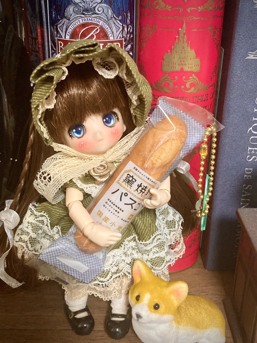 mohirodoll's tweet photo. ドールもかわいいけどコーギーもかわいい💞どっちがパンだか分からないね！ https://t.co/ObQWPrxRAf