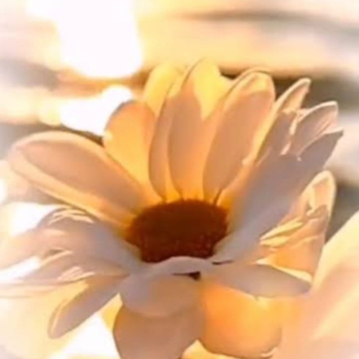 1hayat1yaprak's tweet image. Allah’ım 
kapından geri çevirmeyecek #dualar ile döndür dilimizi…