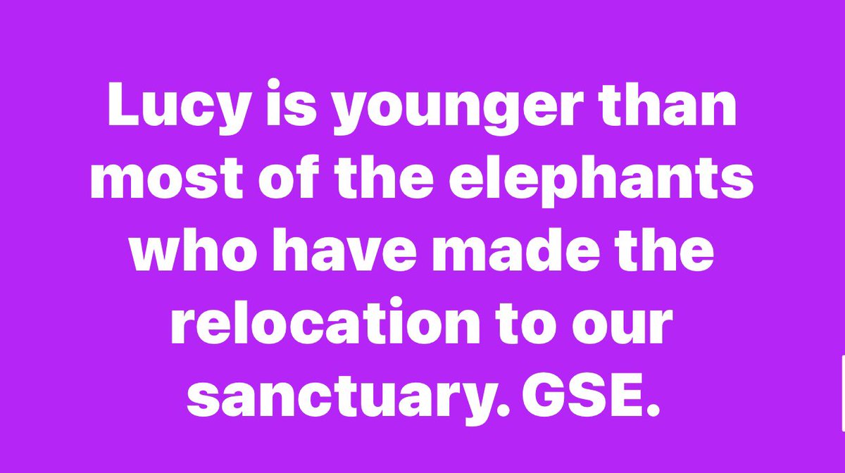 fGSE tweet media