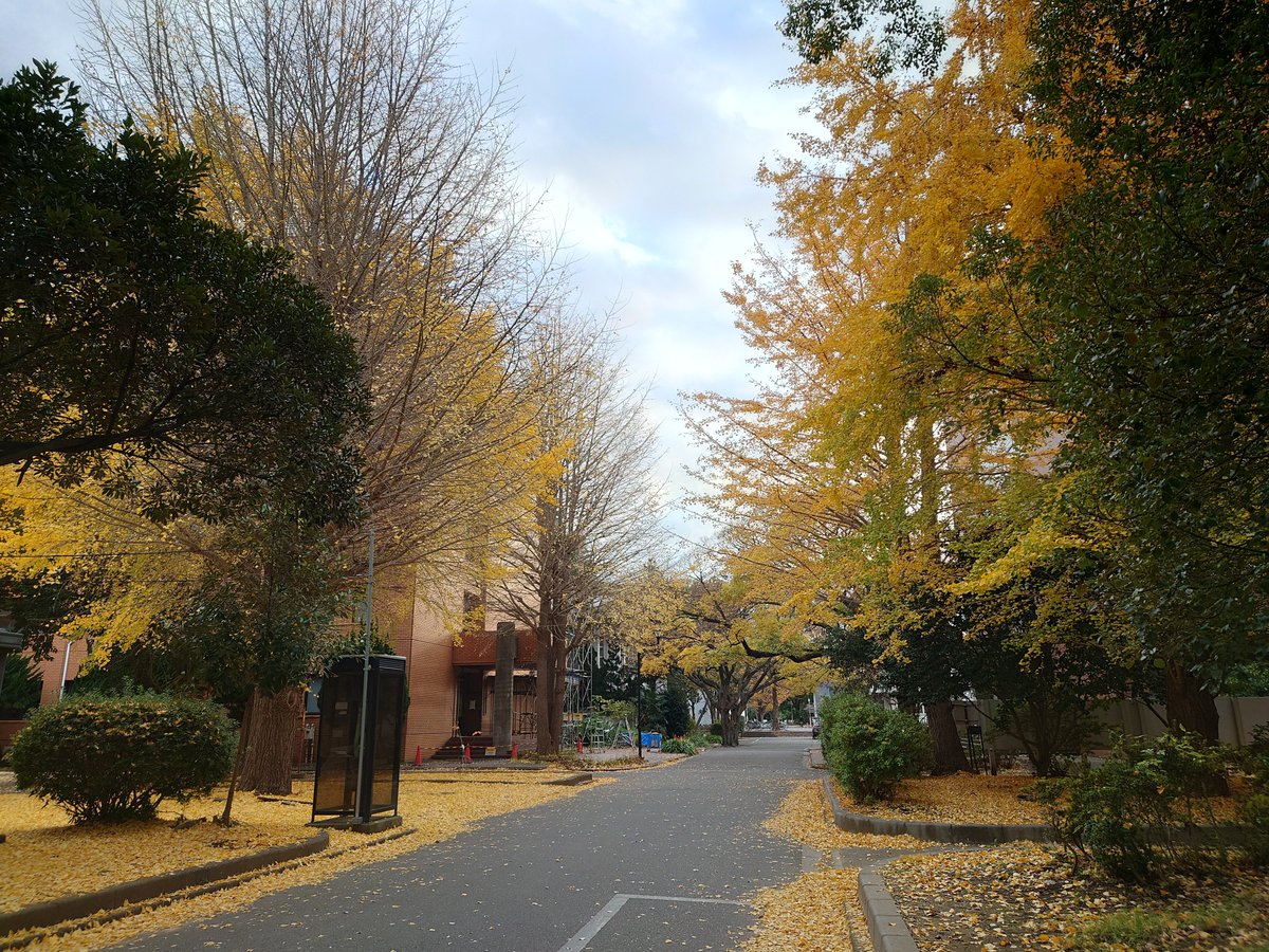 cpp2024_12's tweet image. 本日の #千葉大学 です。
ワークショップの準備も万端です。
一生懸命お掃除しました。
明日は今日よりも寒くなるようなので暖かい格好でお越しください。
スタッフ一同、お待ちしております！