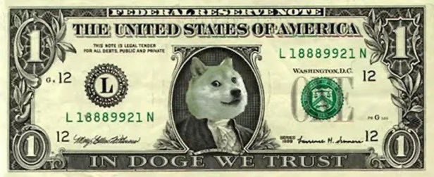 dogegod tweet media