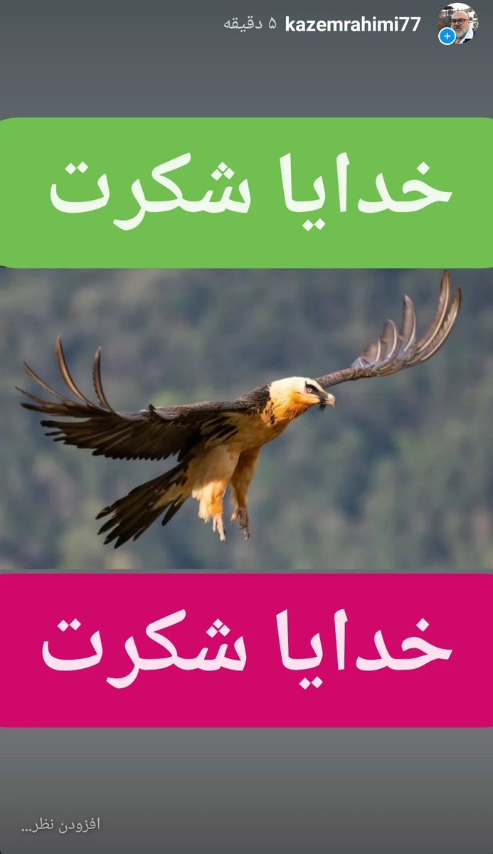 خدایا شکرت