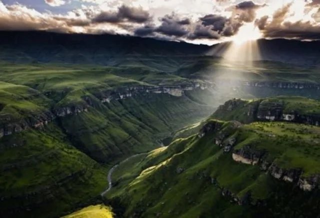 mmatigari tweet media