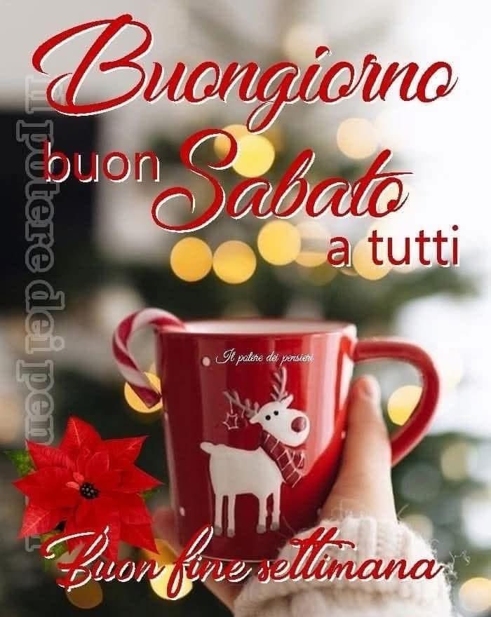 RITABIANCHi56 tweet media