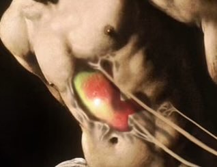nftfoto's tweet photo. Old masters gone wild …

https://t.co/teieCHwzOe
#BTC #ETH #XRP #cryptoart #NFT #NFTartist #NFTCollection https://t.co/7crBGcfoLg